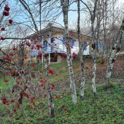 Фото Отель ВиллаЛила