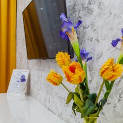 1-комнатные апартаменты стандарт