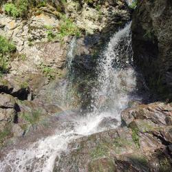 Фото Отель Emirell Altai (Эмирелль Алтай)