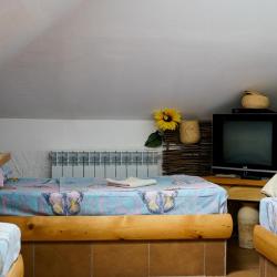 Фото Отель Родина