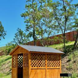 Фото Эко-отель Амбассадор