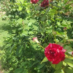 Фото Отель с