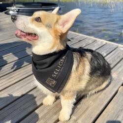 Фото Дизайн-отель Seliger Club (Селигер Клуб)