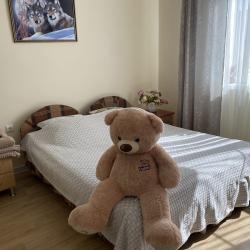 Фото Апартаменты Усадьба