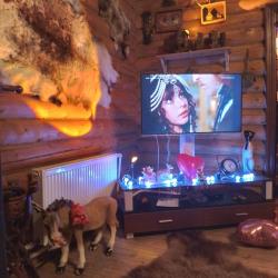 Фото Отель Шале Охотника