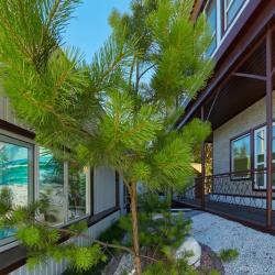 Фото Отель Лайф