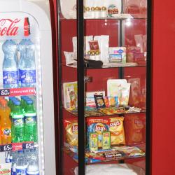 Фото Отель Пенаты