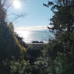 Фото Отель Anchor Villa (Анкор Вилла)