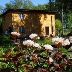 Фото Отель Займище