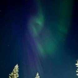 Фото Отель Лапландия