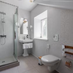 2-комнатный номер люкс с 1 двуспальной кроватью (мансарда) № 5