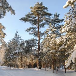 Фото Парк-Отель Спасское