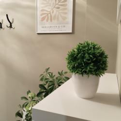 1-комнатные апартаменты студия