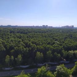 1-комнатные апартаменты стандарт