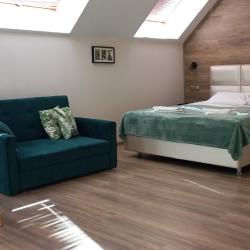 1-комнатные апартаменты стандарт (мансарда)