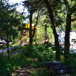 Фото Отель Лодж Алтай