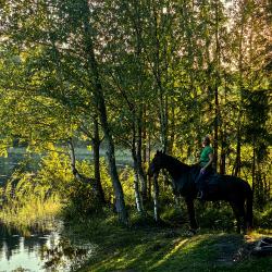 Фото Отель Дом Дракона в Яви-Нави