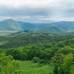 Фото Отель Dali (Дали)