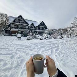 Фото Отель Каштан