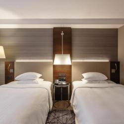 Sheraton Nizhny Novgorod Kremlin (Шератон Нижний Новгород Кремль) — 7fc3d885629cab6b0de2910bdabe10e1