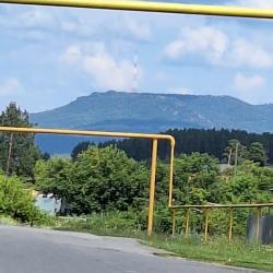 Фото Отель Лесная жемчужина