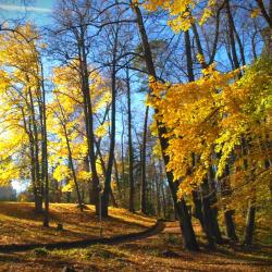 Фото Отель Санаторий Введенское
