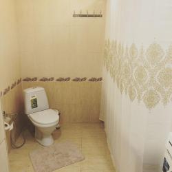 Фото Отель Коттедж Дом на улице Таги-Заде 65