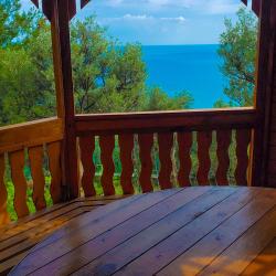 Фото Отель Жуковка