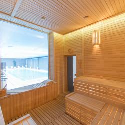 Фото Отель Wellness Hotel and Spa (Велнесс)