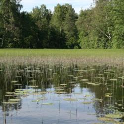 Фото Отель Хутор белой козы