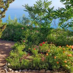 Фото Отель Жуковка