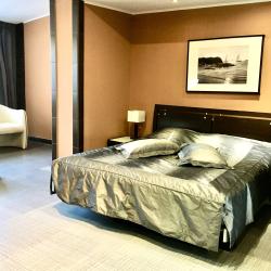 Апартаменты студия с 1 двуспальной кроватью