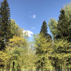 Фото Отель Good Karma Villas (Гуд Карма Вилла)