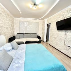 Фото Апартаменты на улице Гаранькина