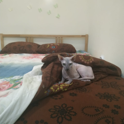 Фото Хостел Дружба