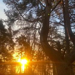 Фото Отель Залив Души