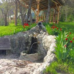 Фото Отель Alva Hotel & Spa (Алва)