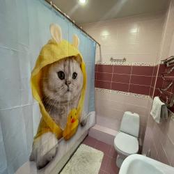 Фото Апартаменты President на улице Зверева 1