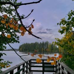 Фото Отель Сандал