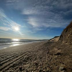 Фото Отель Вилла Лаванда