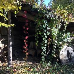 Фото Отель Шале Пахта