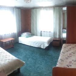 Фото Отель Ёлочка