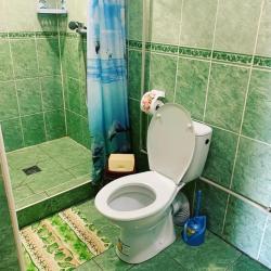Фото Отель Гостевой дом Constanta (Константа)