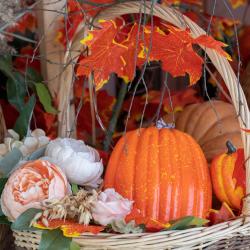 Фото Отель Vnukovo Village Hotel & SPA (Внуково Вилладж)