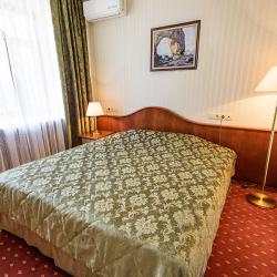 Номер стандарт бизнес с 1 двуспальной кроватью