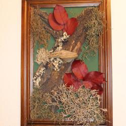 Фото Отель Котак