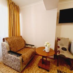 Фото Отель Золотой лев