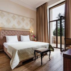 2-местный номер стандарт с балконом категории В (главный корпус)