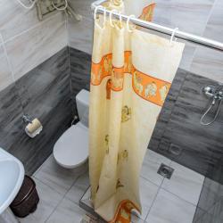 Фото Отель Orchidea Hotel (Орхидея)