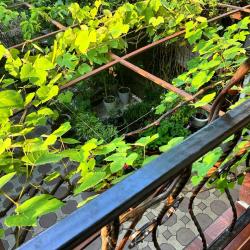 Фото Отель Аленка